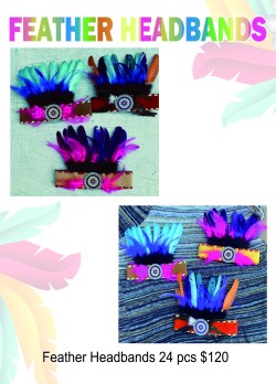 Feather Headbands